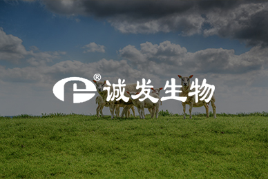 31誠(chéng)發(fā)生物動(dòng)物藥業(yè)有限公司 拷貝.jpg
