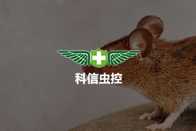 39科信蟲控（南陽）技術有限公司 拷貝.jpg
