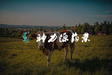 神力源動物藥業(yè)集團