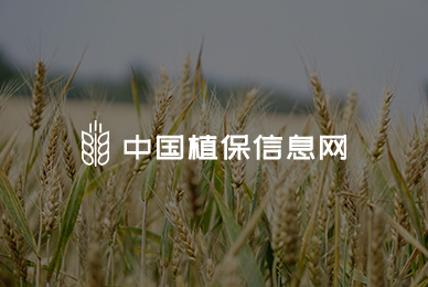 中國植保信息網(wǎng)