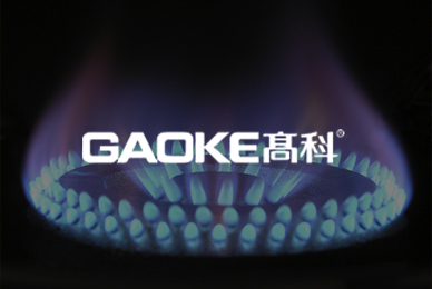 高科廚衛(wèi)電器