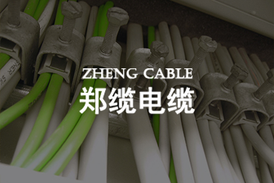 鄭纜電纜