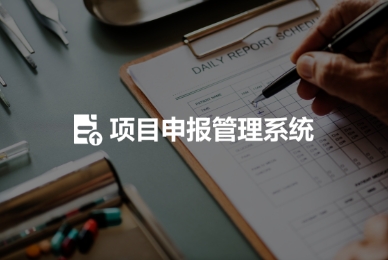 項目申報管理系統(tǒng)